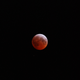 Illustration for article titled Shooting Challenge: Super Lunar Eclipse